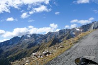 Gavia (7)