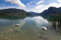 Mondsee (2)
