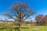 Český Krumlov, Schlossgarten