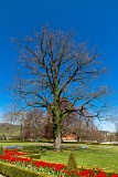 Český Krumlov, Schlossgarten (5)