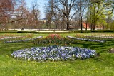Český Krumlov, Schlossgarten (6)