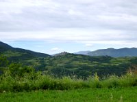P1060029