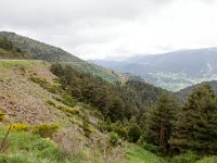 MG 7963
