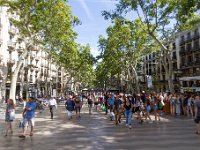 MG 8521  Ramblas