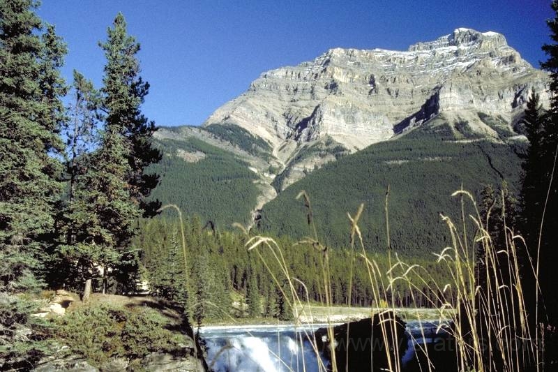 Img0100.jpg