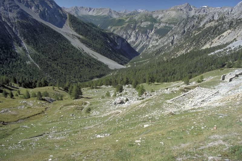 Img0026.jpg