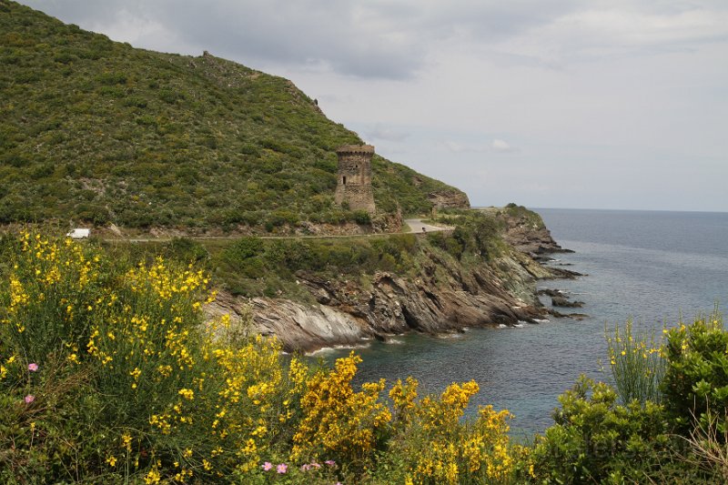 IMG_3073.JPG - Cap Corse, Genueser Turm