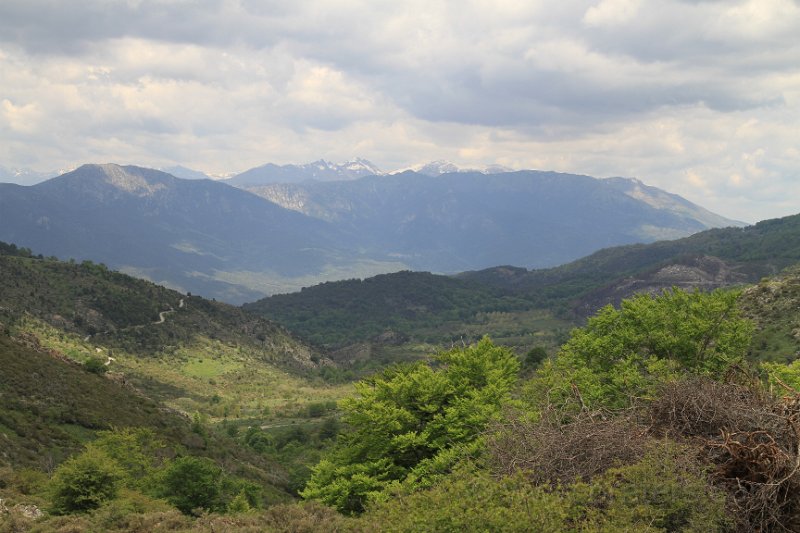 IMG_4017.JPG