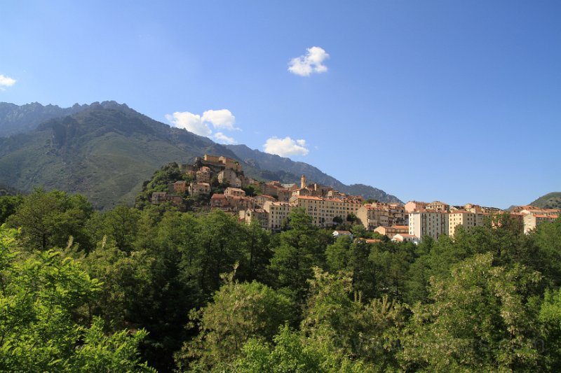 IMG_4101.JPG - Corte
