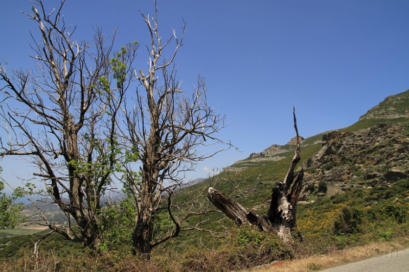 IMG_4168.JPG - Col de Teghime