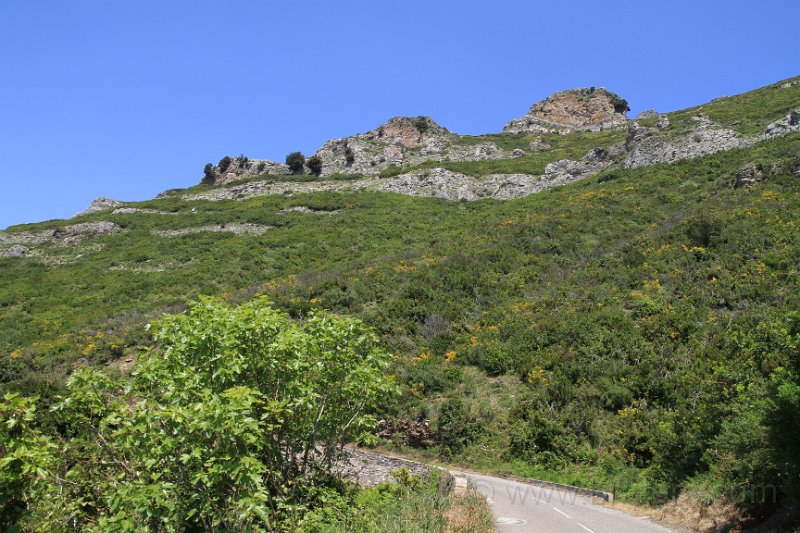 IMG_4170.JPG - Col de Teghime