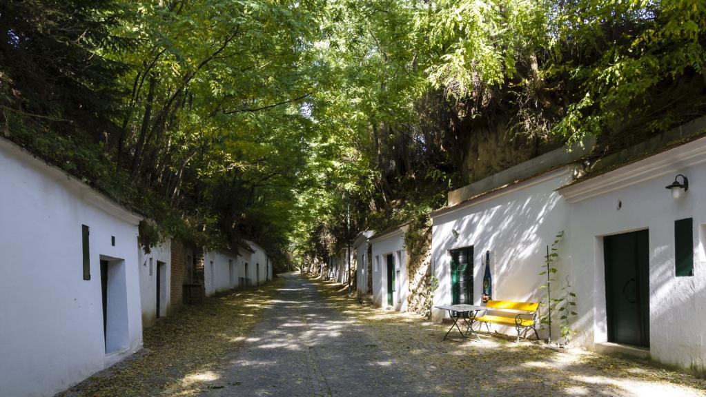 Radygasse